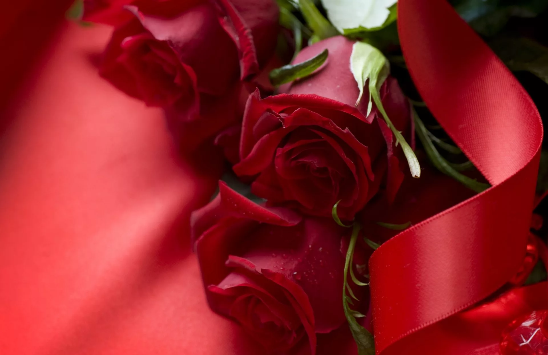 Днем влюбленных рождения. Красные розы. Открытки с днем рождения розы красные. С юбилеем розы. Розы фон.