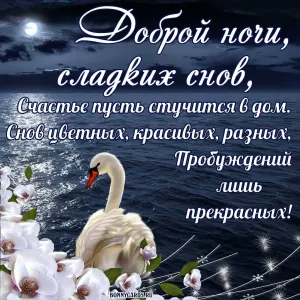 Скачивание изображения #229521