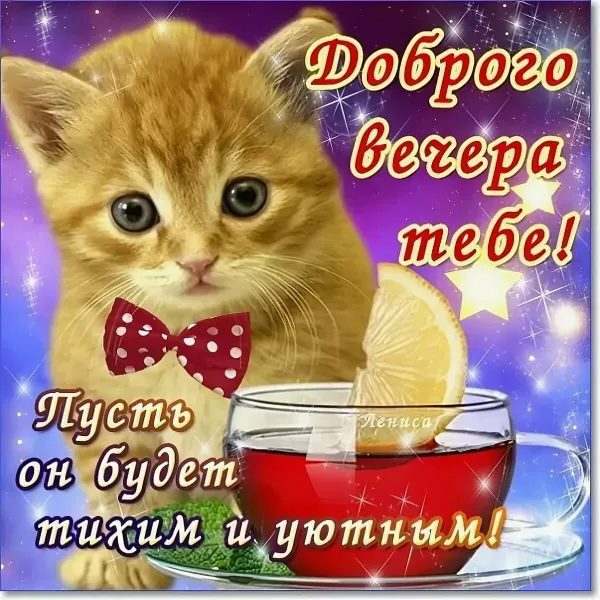 Пожелания хорошего вечера мужчине в картинках