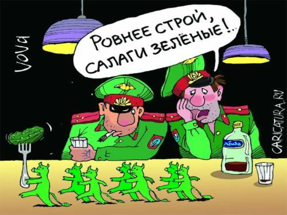 Поздравления прапорщикам. Офицер карикатура. 23 Февраля карикатура. Шутки про 23 февраля. Карикатуры про армию