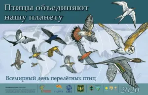 Скачивание изображения #311021