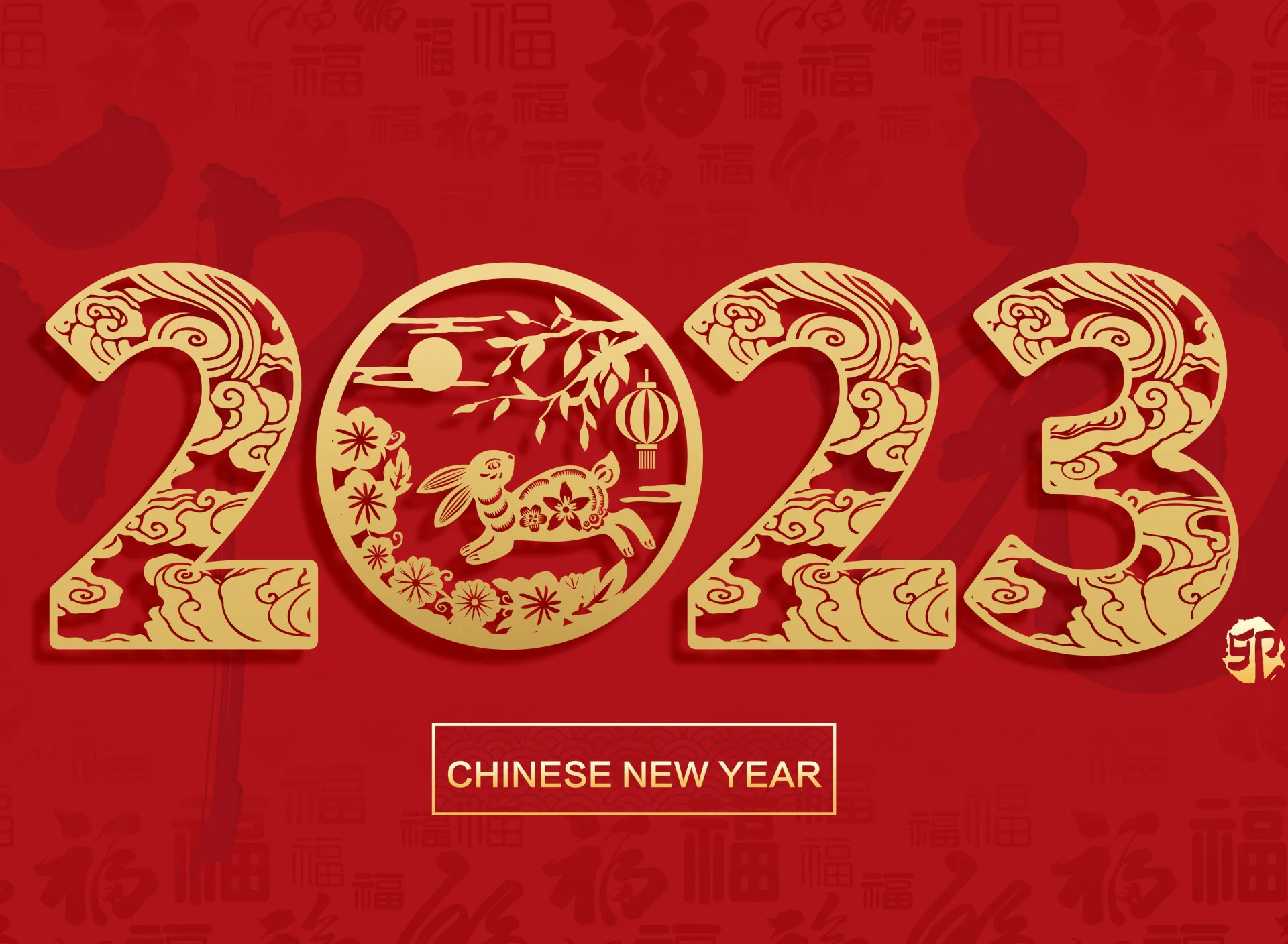 Фото Chinese New Year 2025 #4