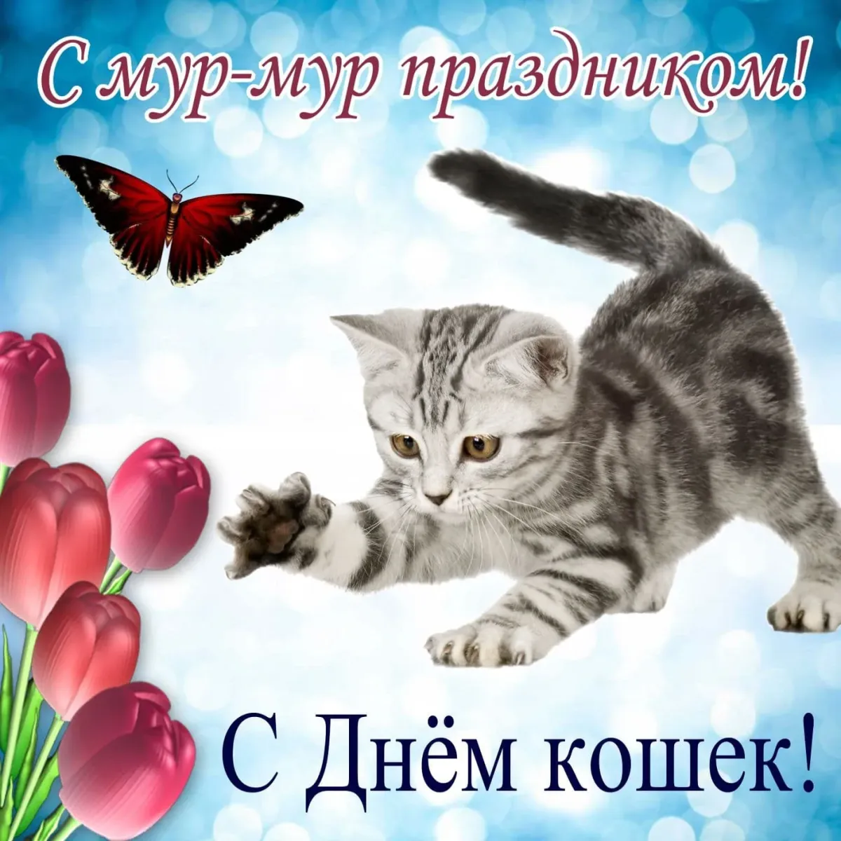 День котиков в россии. День кошек. Поздравление с днем кошек. День кошек открытки.