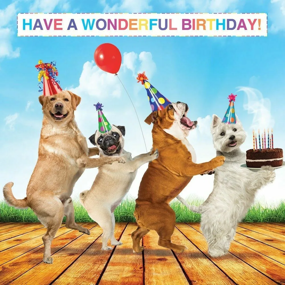 Фото Поздравления ветеринару с днем рождения #47