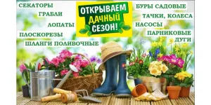 Скачивание изображения #301174