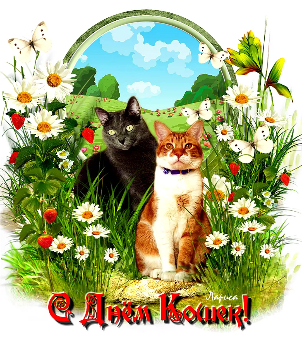 С первым днем кота. День кошек. Всемирный день. Праздник весны и кошек. День кошек открытки.