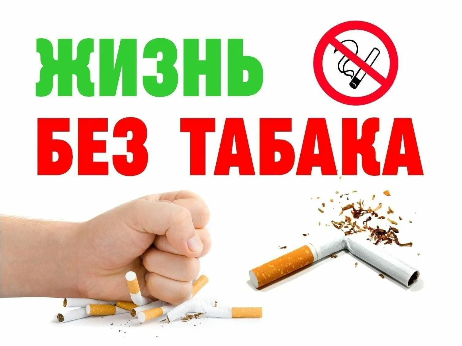 Фото Всемирный день без табака 2024 #25