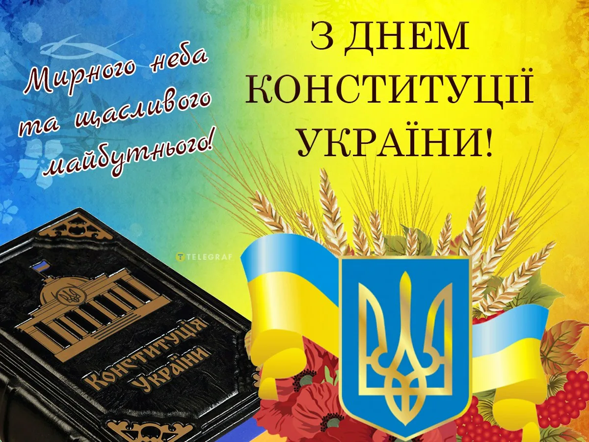 Фото День Конституции Украины #10