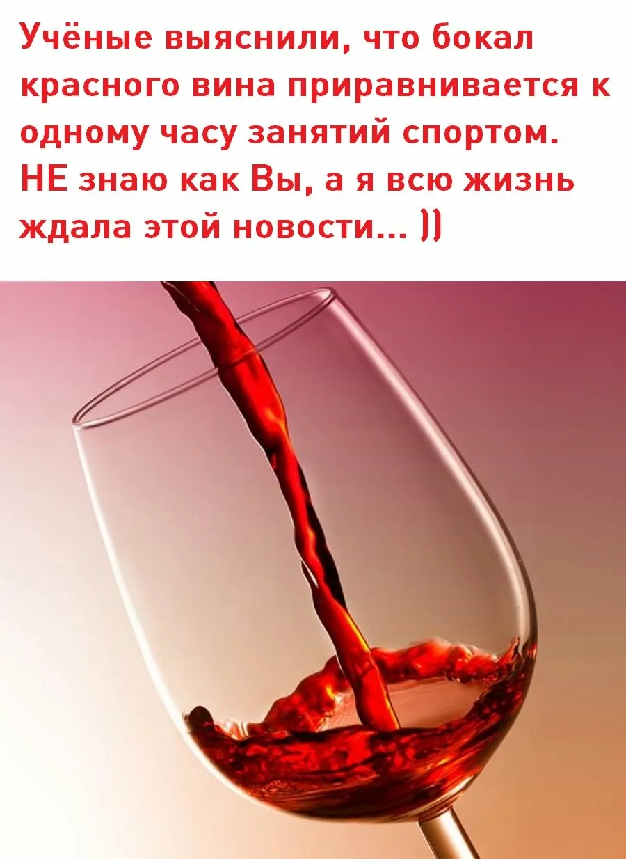 Наливай вина текст. Бокал красного вина цитаты. Смешные фразы про вино на бокал. Шутки про красное вино. Шутки про вино.