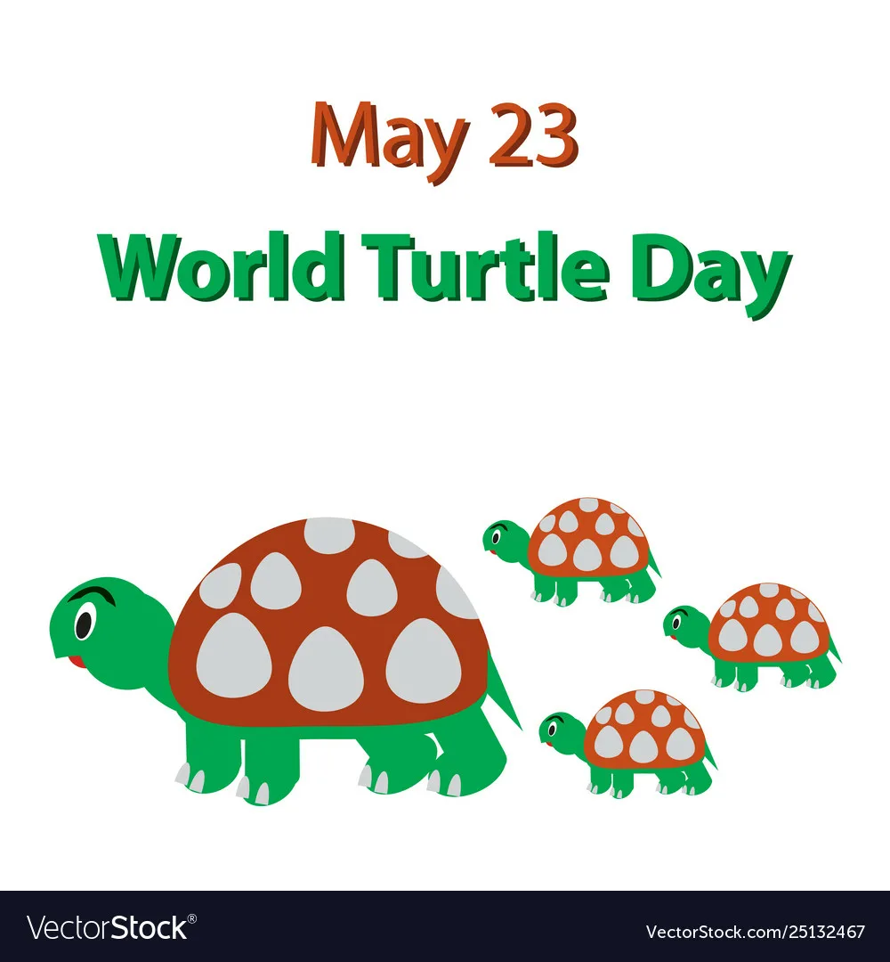 Фото Всемирный день черепахи #98