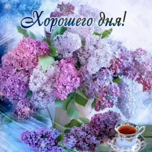 Скачивание изображения #32236