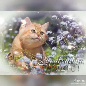 Скачивание изображения #491419