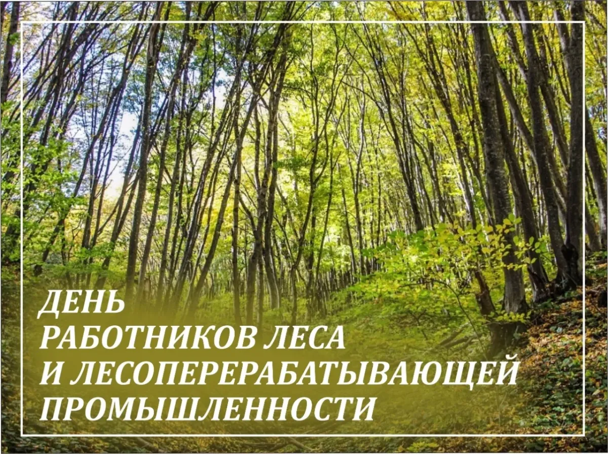 С наступающим днем леса. С днем работника леса. Поздравить с днем работников леса. Поздравление работников леса. Российский день леса.