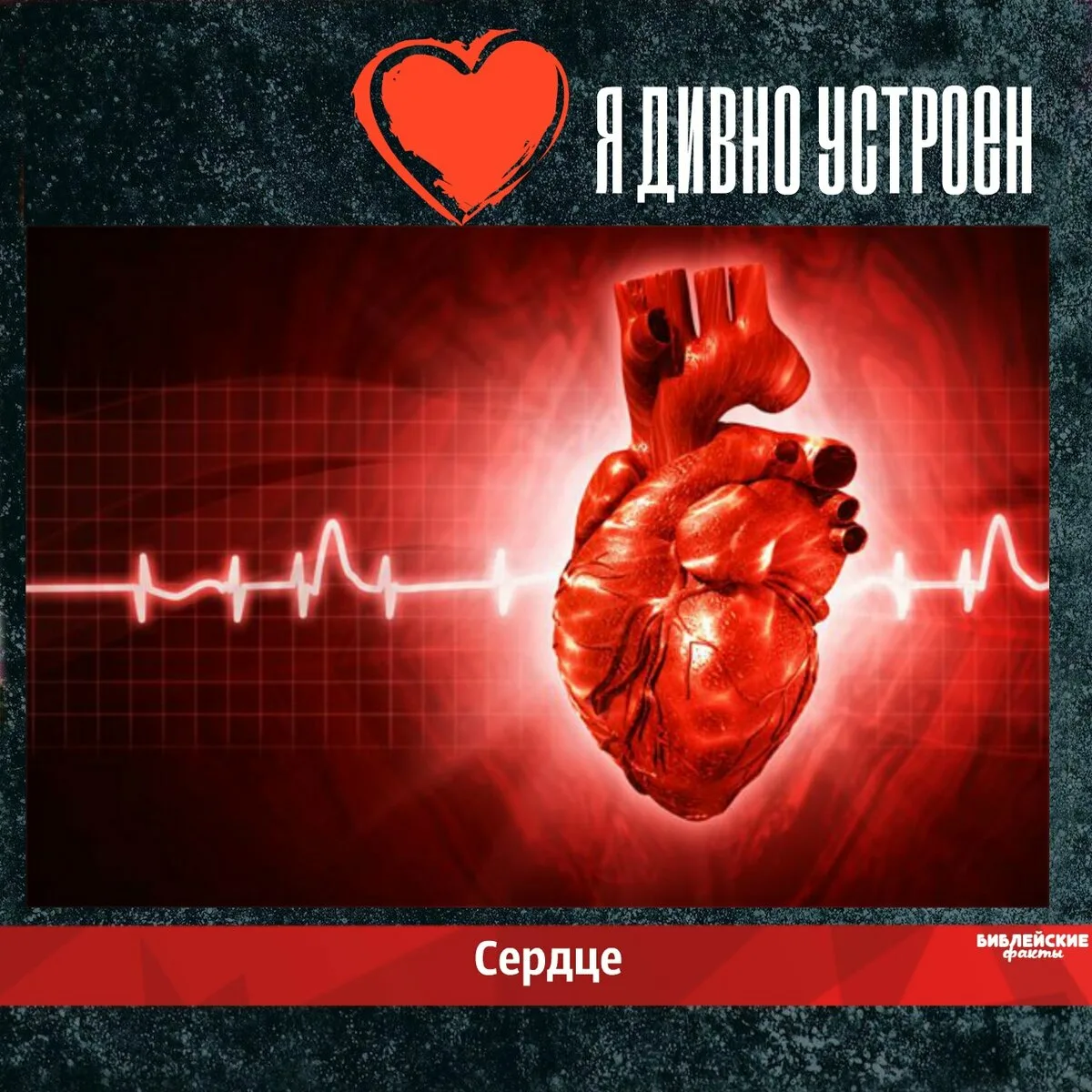 Открытка для кардиолога. Кружение сердец. Всемирный день кардиолога. Сердце поздравляю. Российские дни сердца 2024