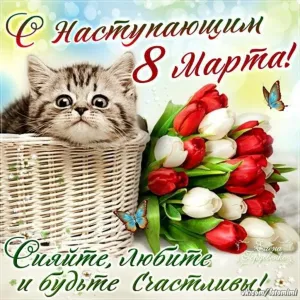 Скачивание изображения #179701