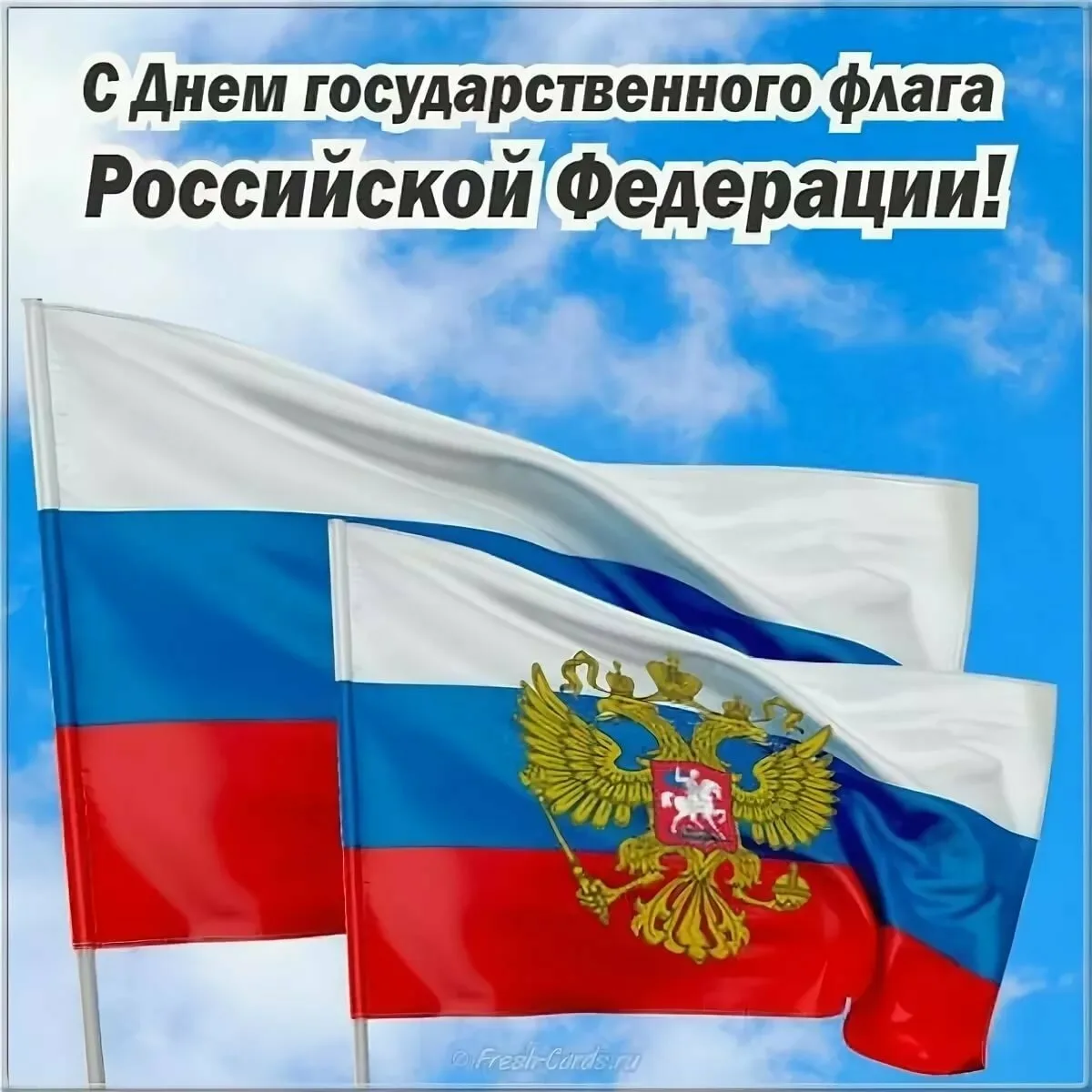 Фото День государственного флага России 2024 #60