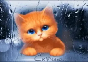Скачивание изображения #26704