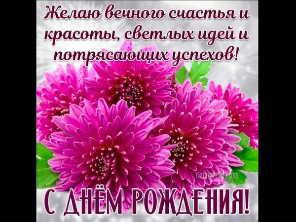 Открытки с днем рождения с хризантемами