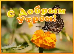 Скачивание изображения #230886