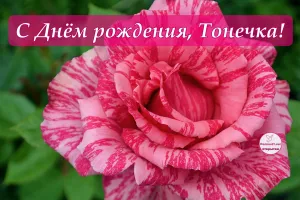 Скачивание изображения #62642