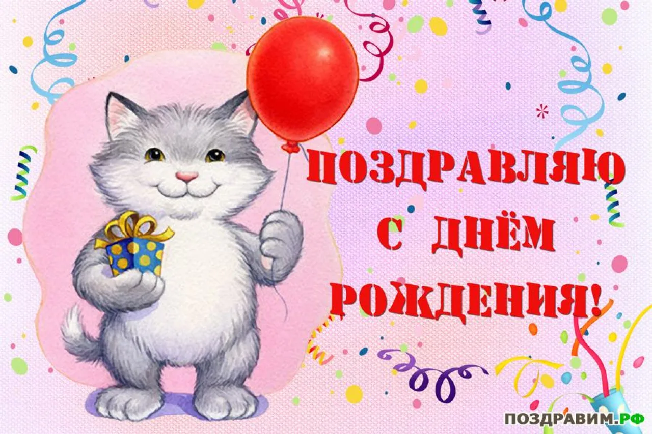 Фото Congratulations on the birthday of the cat #8