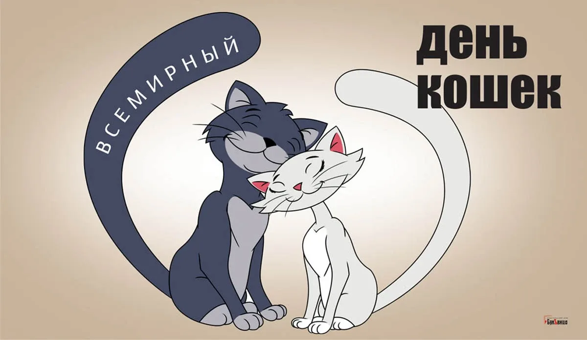 День котиков в россии. Всемирный день кошек. Международный день кота. День кошек открытки.