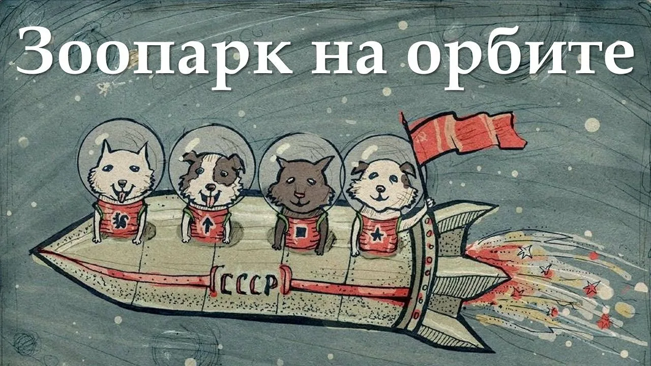 Картинки ко дне космонавтики. Животные в космосе для детей. Советские животные в космосе это. Открытка "космонавты". Животные в космосе рисунки.