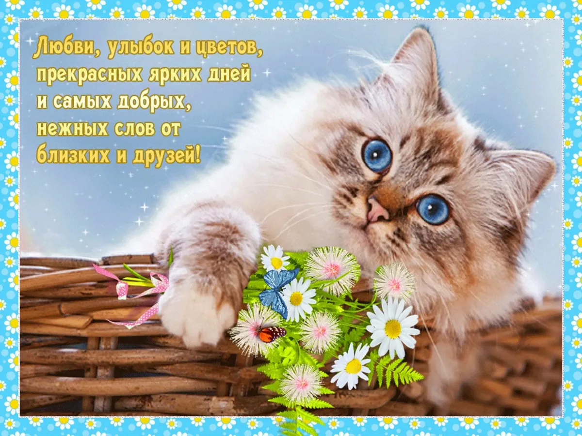 Улыбнись любимая картинки