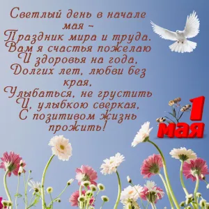 Скачивание изображения #54781
