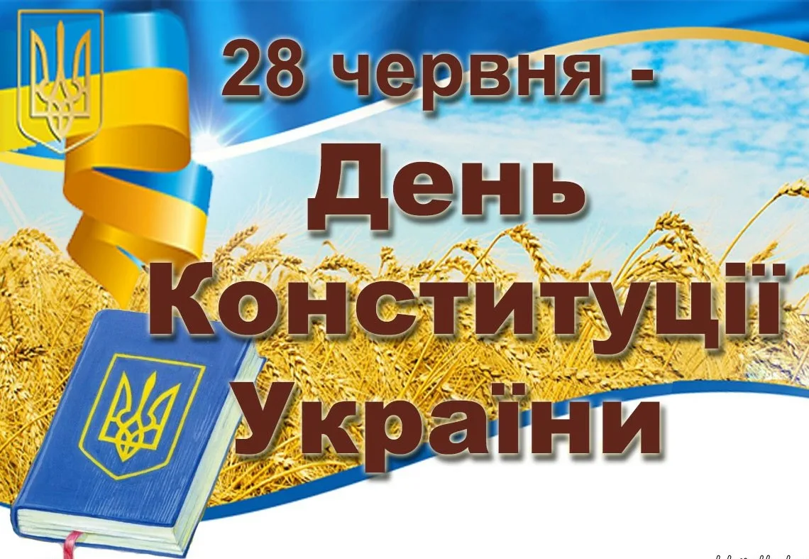 Фото День Конституции Украины #30