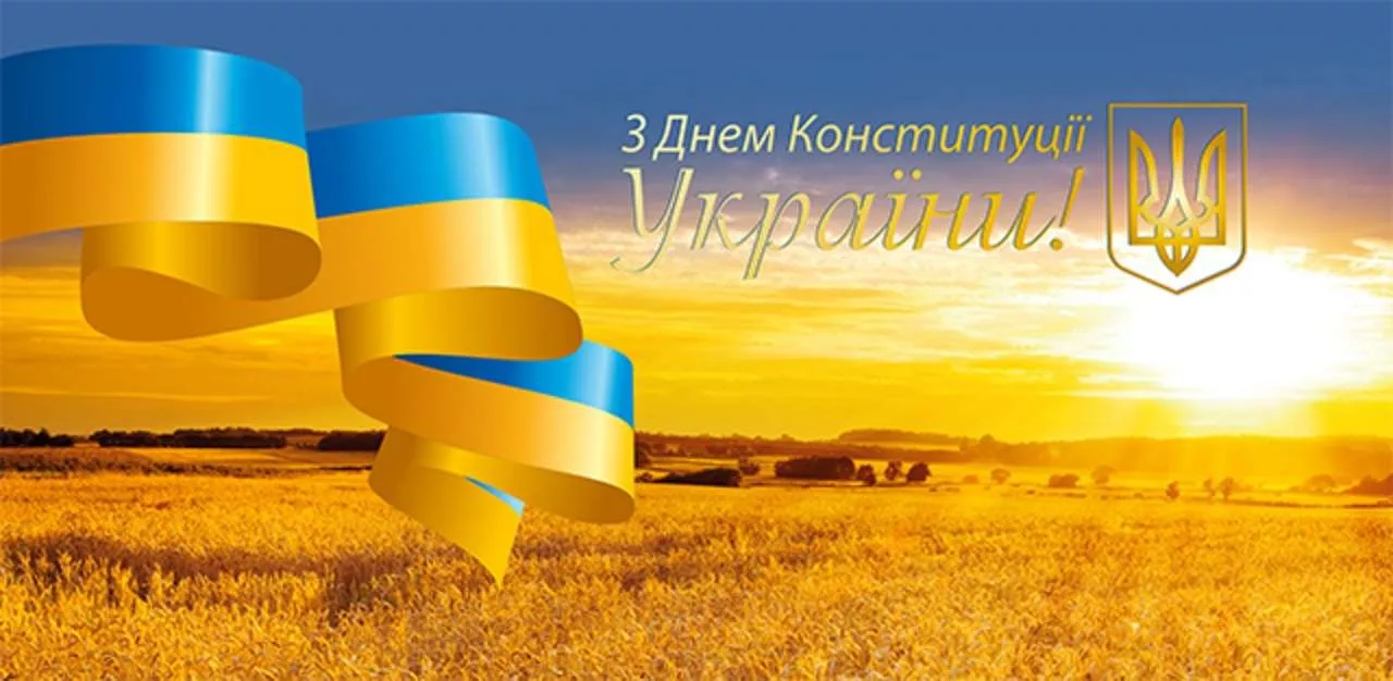 Фото День Конституции Украины #6