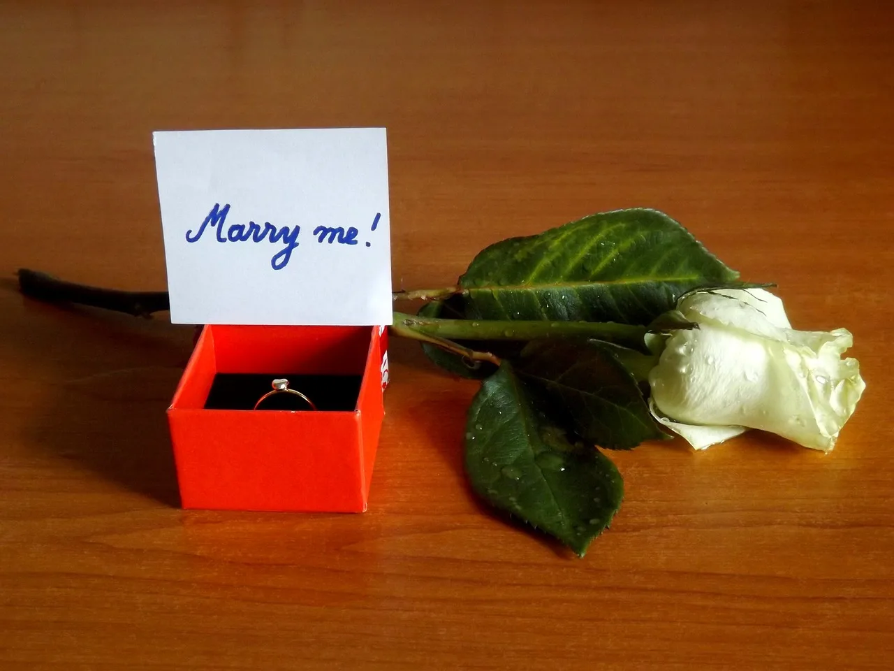 Фото Красивое предложение выйти замуж #94
