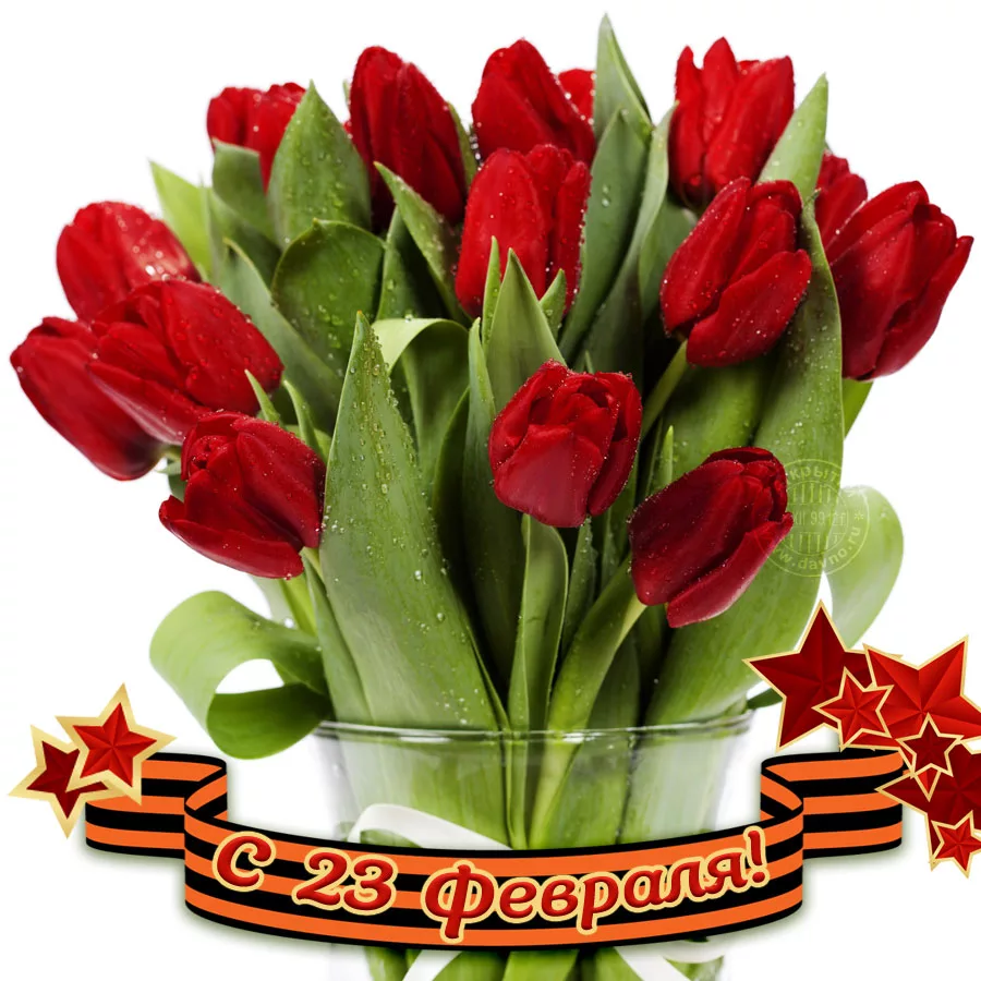 23 flowers. С праздником 23 февраля. 23 Февраля цветы. С 23 февраля женщинам. 23 Февраля тюльпаны.