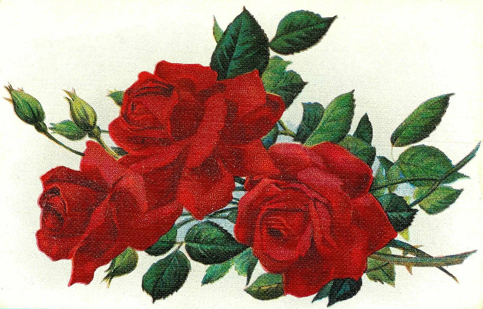 Фото Стихи к подарку розы #89