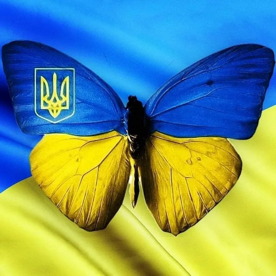Фото День флага Украины #16