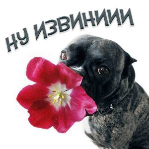 Скачивание изображения #229786