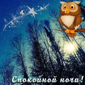 Скачивание изображения #35343