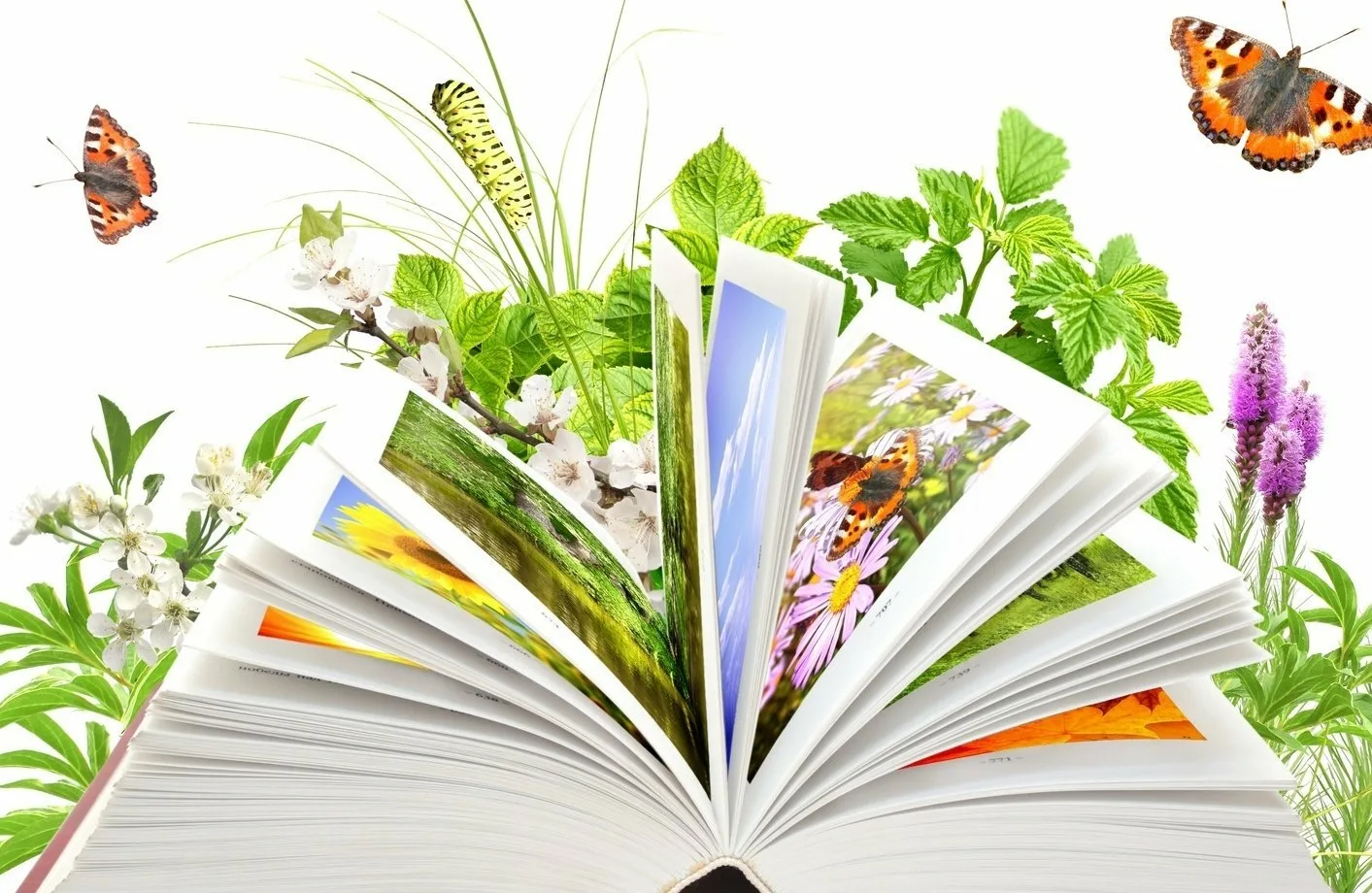 Растения читатели. День экологических знаний. Книга природа. Я С книгой открываю мир природы. Библиотека фон.