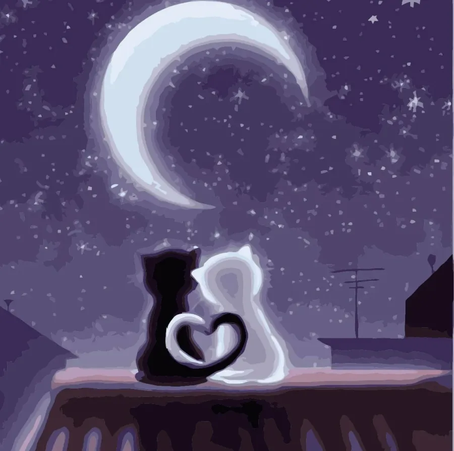 Картинка спи любимый. Влюбленные кошки. Кошка под луной. Милая ночь. Спокойной ночи романтические.