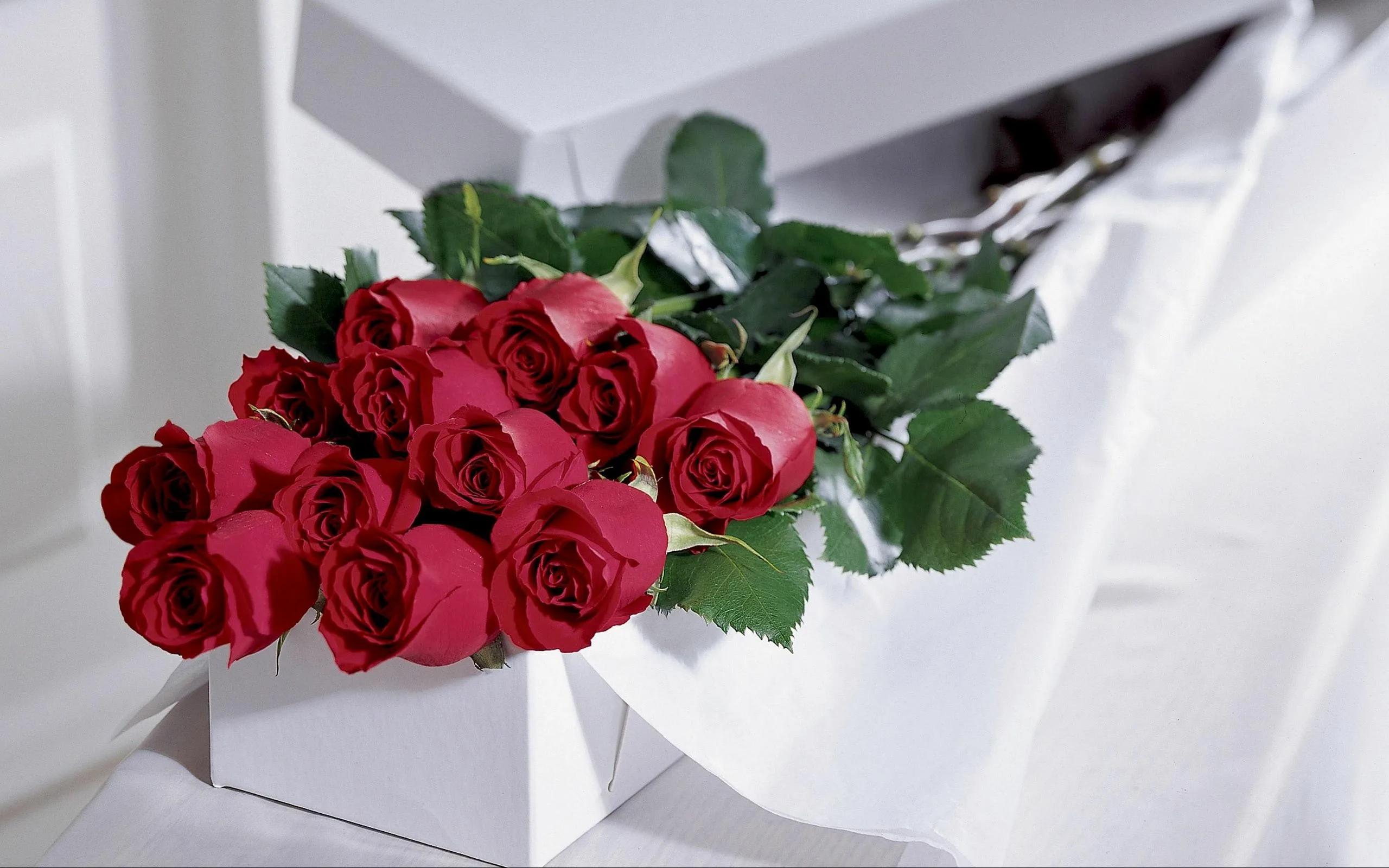 Фото Стихи к подарку розы #83