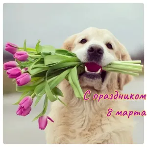Скачивание изображения #45499