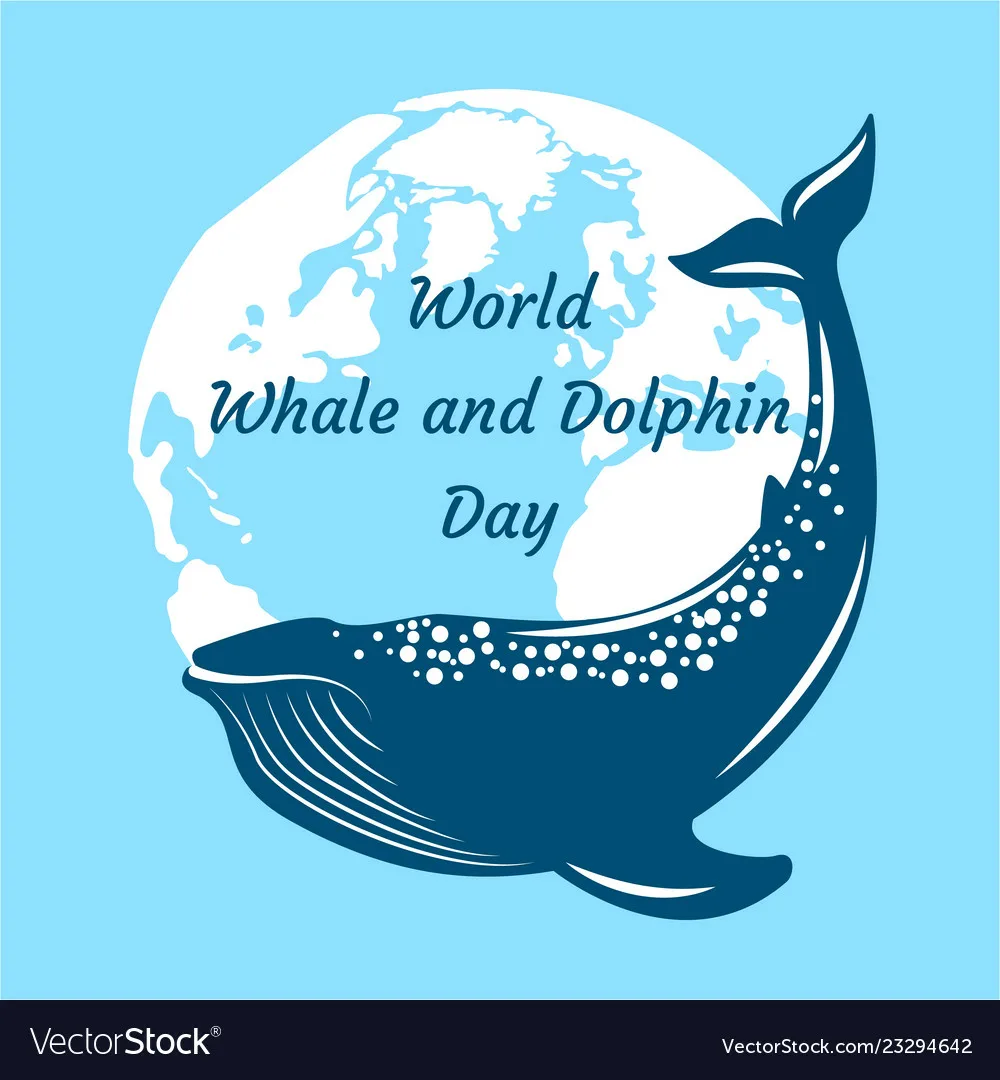 Фото Всемирный день китов и дельфинов 2024 #26