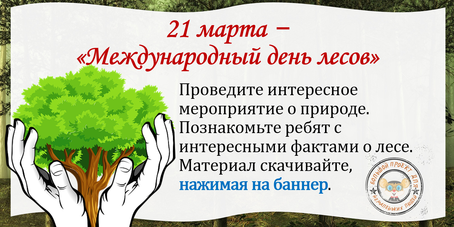 Фото Международный день леса 2025 #17