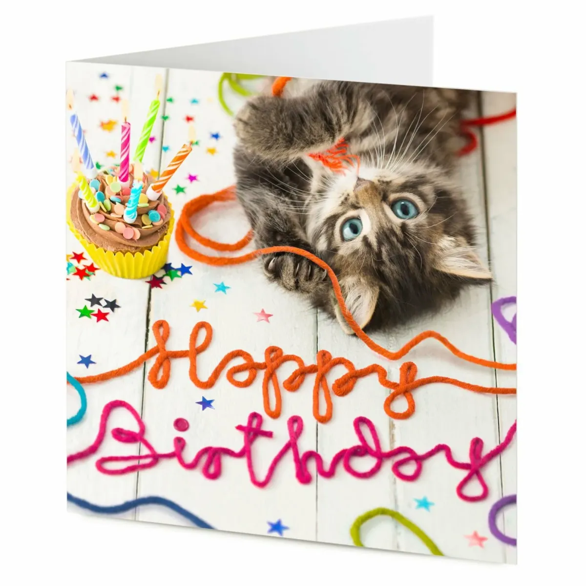 Открытка с днем рождения с котятами. С днём рождения с котиками. Котенок поздравляет с днем рождения. Поздравления с днем рождения с кошками. Открытки с днём рождения с котиками.