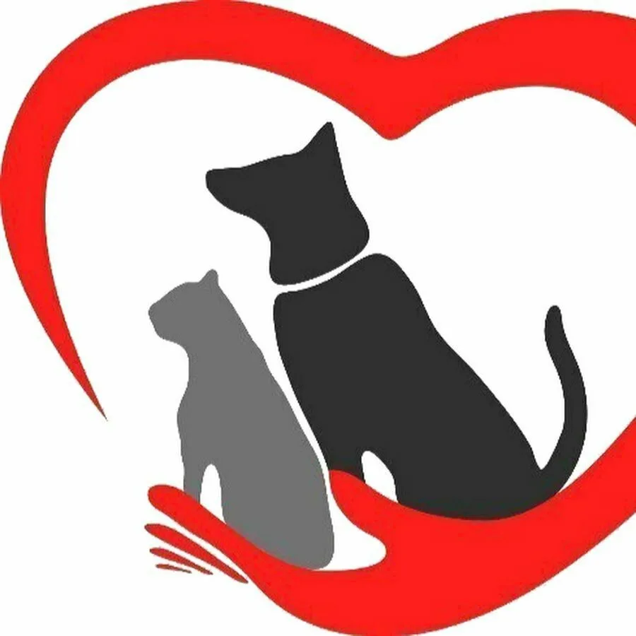 Защита питомца. Помогать животным. Защита бездомных животных. Помощь бездомным животным. Кошка и собака рисунок.