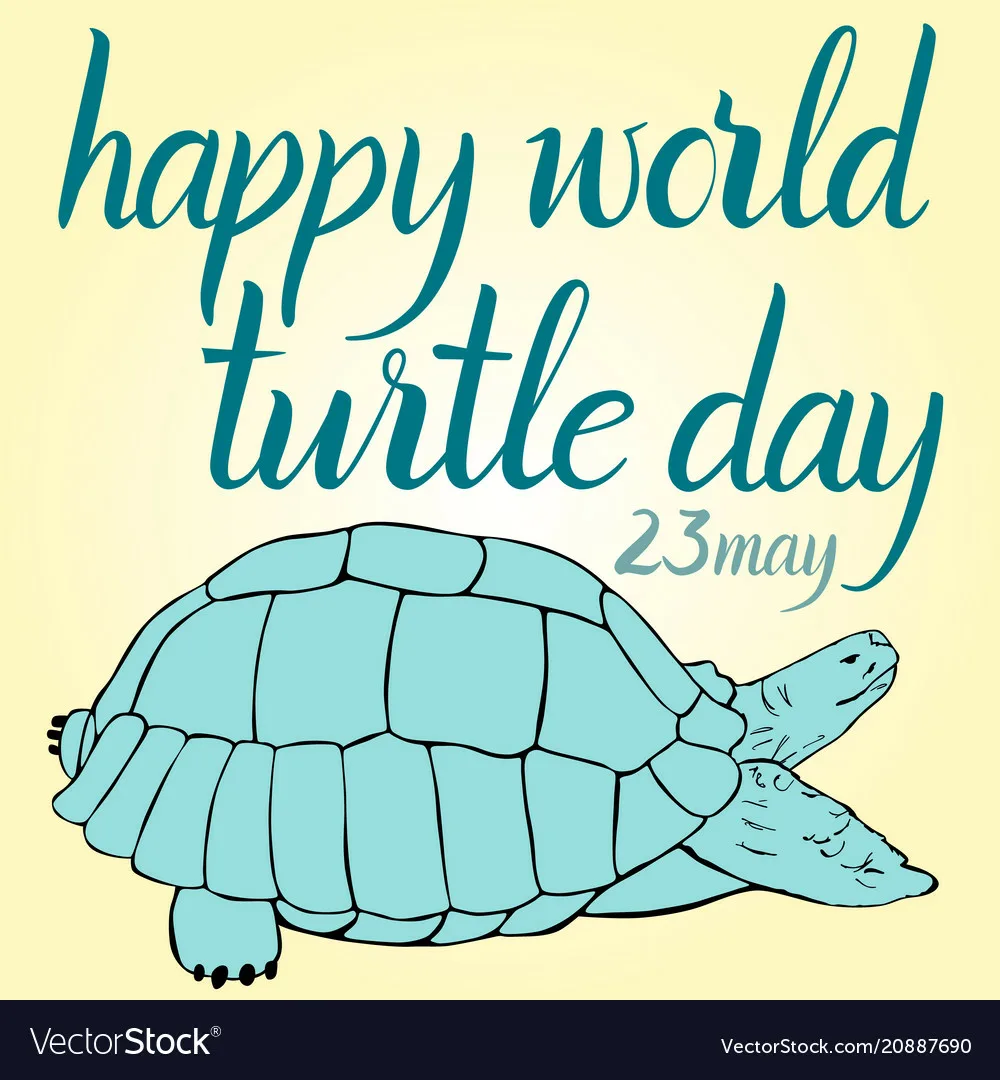 Фото Всемирный день черепахи #58