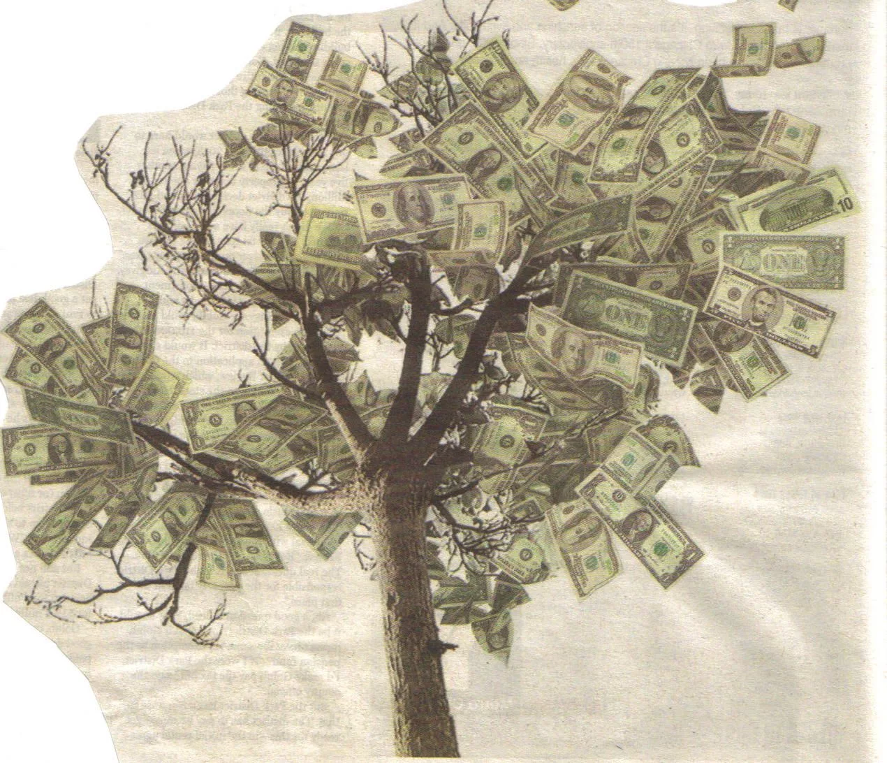 Фото Слова к подарку денежное дерево #16