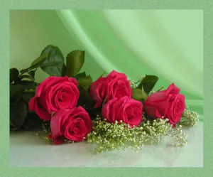 Скачивание изображения #497938