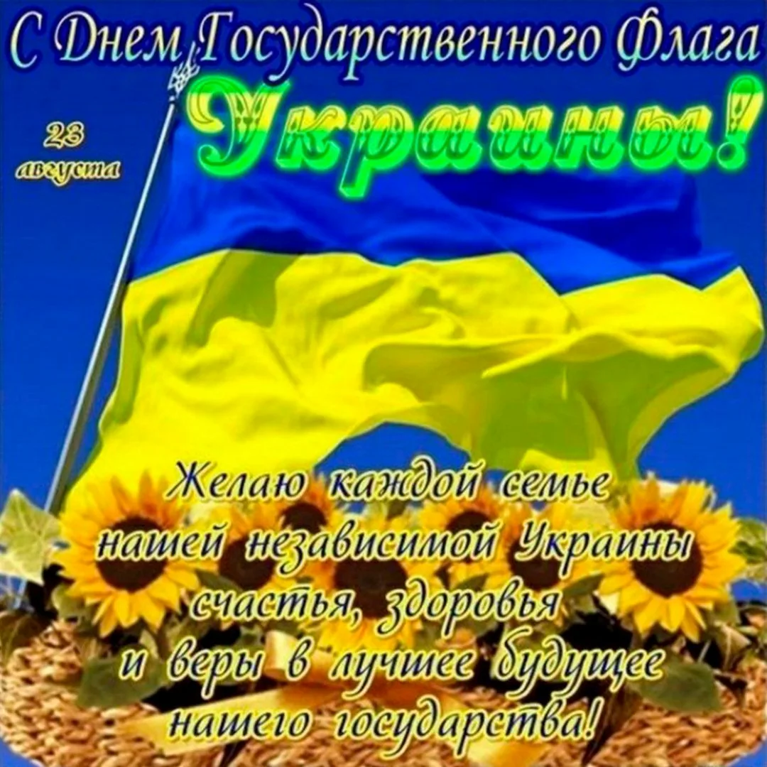 Фото День флага Украины #8