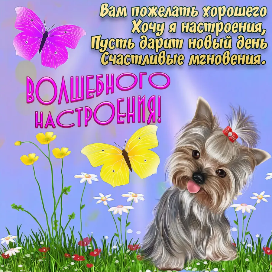 Картинки с пожеланиями хорошего дня